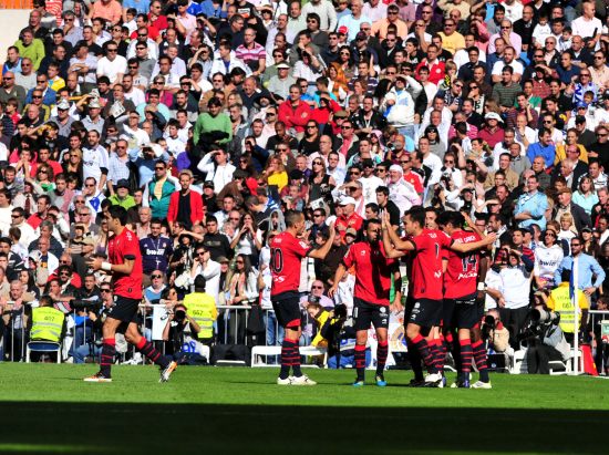 虽然外界很 虽然外界很