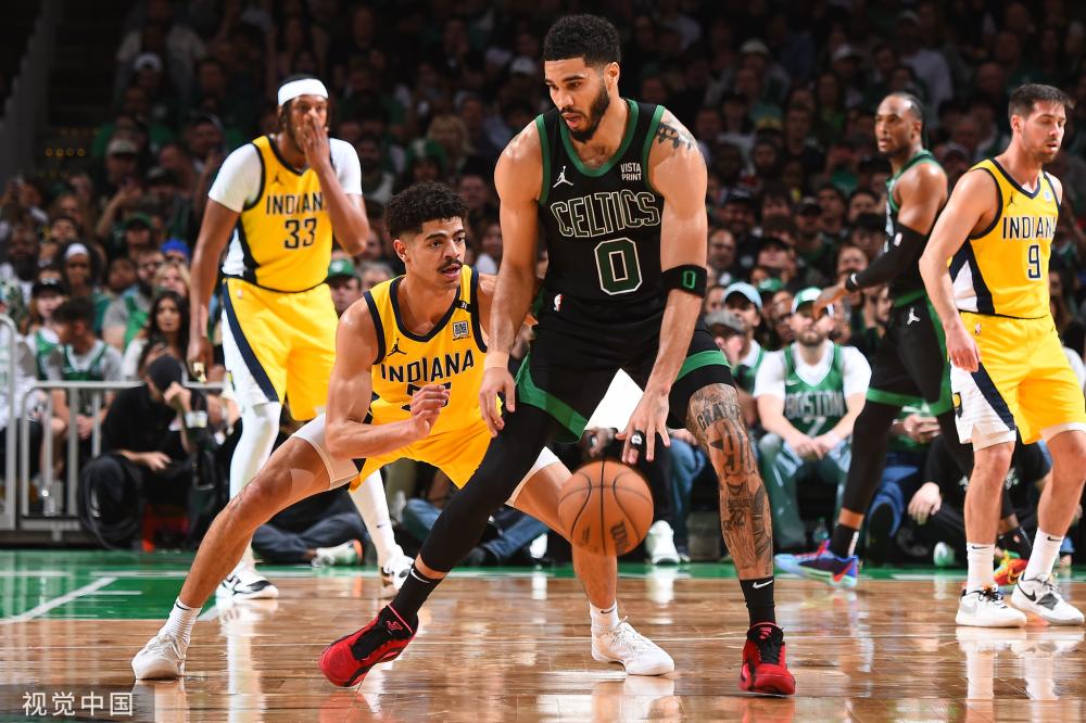 体育运动的 体育运动的